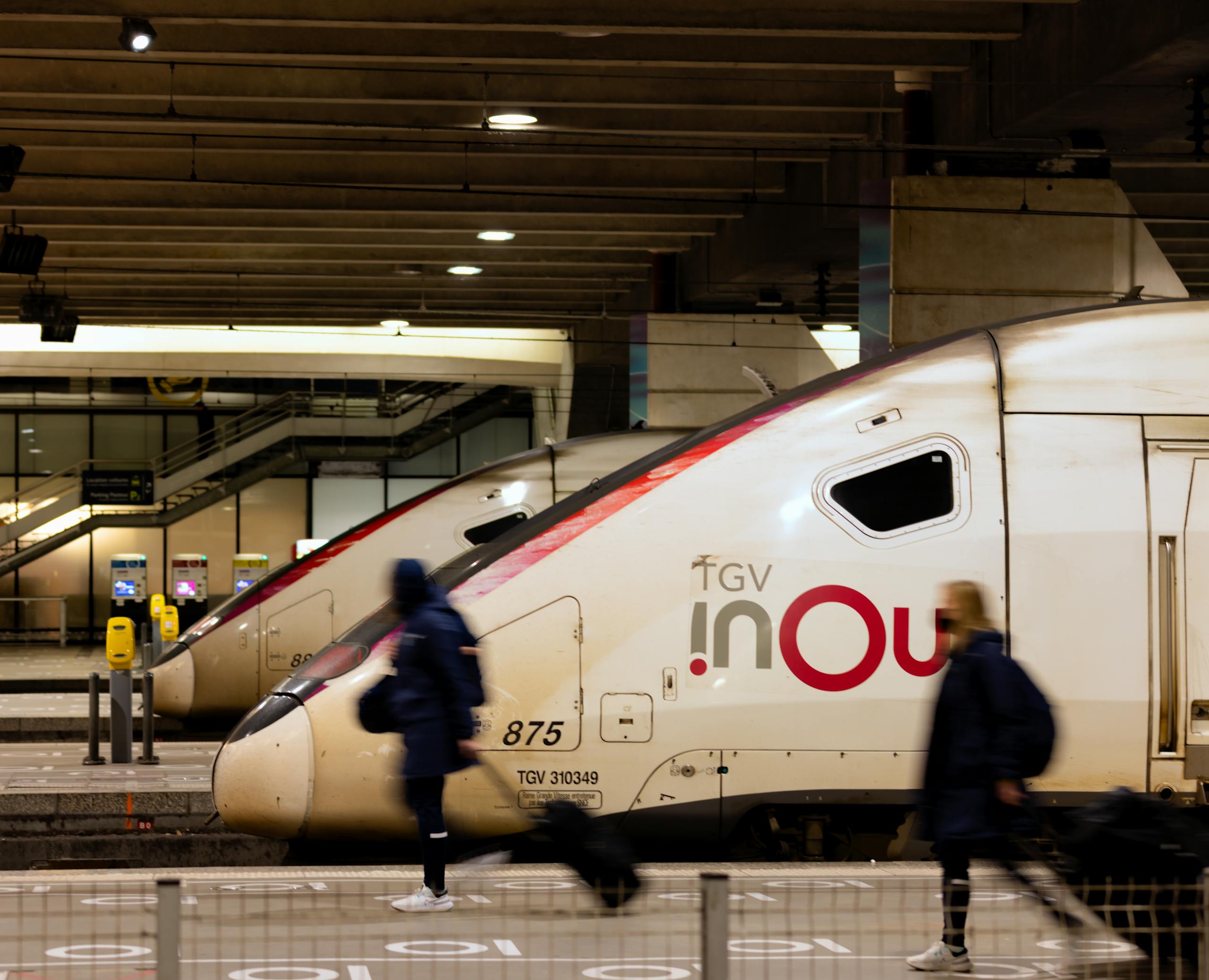 Travelers pass by TGV trains at a bustling Paris railway station, capturing the essence of urban transit.